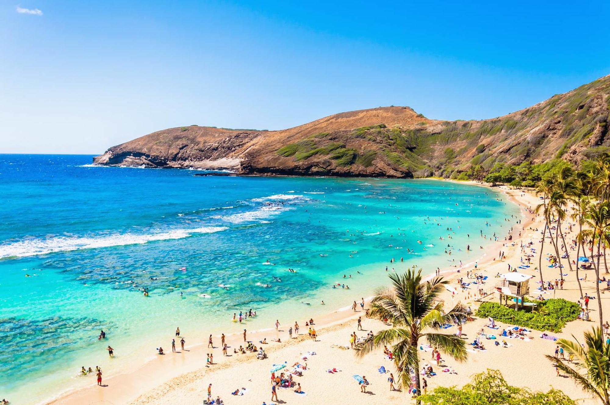 Aloha Vibes With Ocean Views, Near Beach & Parking! Honolulu Zewnętrze zdjęcie